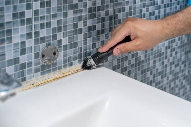 Best Localized Mold Remediation (e.g., coastal areas, humid climates) in Valdez, AK